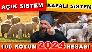 100 KOYUN ALINIR MI  2024 Koyunculuk [upl. by Stauffer]