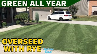 How to Have a Green Lawn All Year  Overseed Bermudagrass with Ryegrass [upl. by Reniar804]