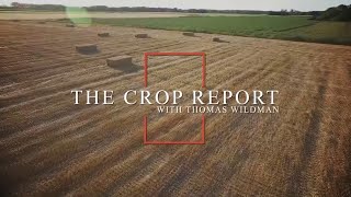 our weekly Crop Report [upl. by Aniara]