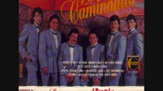 los caminantes ya te fuiste0001wmv [upl. by Yarahs]