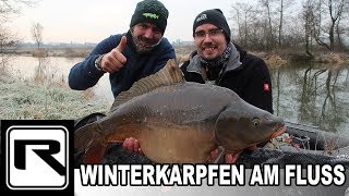 Karpfenangeln am Fluss  Winterkarpfen  SchneemannMontage fängt Fisch bei Randeis [upl. by Werbel]