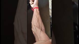 Do Grip Strengtheners Actually Work  30 DAY FOREARM TRANSFORMATION [upl. by Nnyleak]