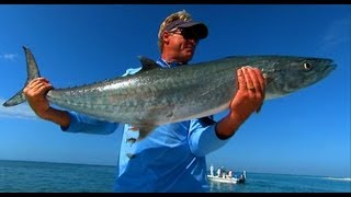 King Mackerel Fishing in Boca Grande Pass Florida [upl. by Ecallaw]