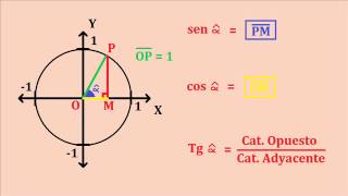 Explicación Circunferencia Trigonométrica [upl. by End]