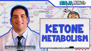 Metabolism  Ketone Metabolism [upl. by Saire816]