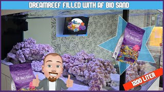 Filled the dream reeftank with Aquaforest Bio Sand [upl. by Saltzman]