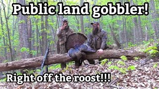 Virginia Public Land Mountain Gobbler Spring Gobbler Turkey Hunt 2024  Ridge Raised Outdoors [upl. by Veron]