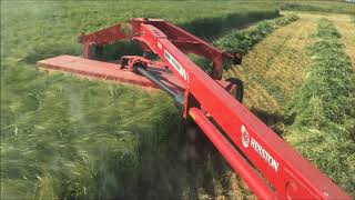 Cutting Barley for greenfeed [upl. by Marlene]