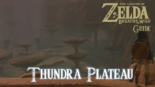 The Legend of Zelda Breath of The Wild  Thundra Plateau Guide Switch [upl. by Attemaj]