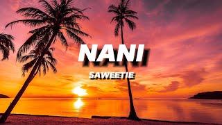 SAWEETIE  NANI  LYRICS [upl. by Jollanta815]