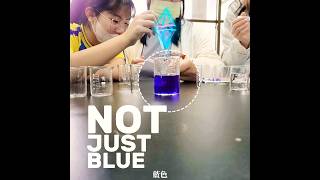 Make a Rainbow Solution with Butterfly Pea Flower Chemistry Experiment CampusLife [upl. by Valida]