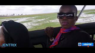 AMBOSELI NATIONAL PARK GAME DRIVE [upl. by Nirel362]