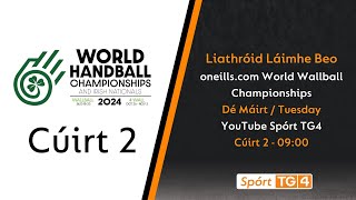 Day 3  Court 2  oneillscom World Wallball Championship  Liathróid Láimhe Beo [upl. by Helyn206]