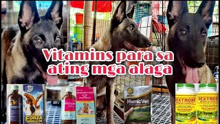 Vitamins para sa ating mga Beglian Malinois  Pet Vitamins  health tips for Dogpets [upl. by Fia]