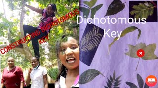 How to construct Dichotomous key classification ll High school Biology [upl. by Ayotyal]