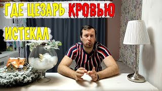 ГДЕ Цезарь кровью истекал Рекс Стаут Ниро Вульф и Арчи Гудвин Прочитанное [upl. by Ihp950]