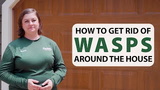 How To Get Rid Of Wasps Around The House [upl. by Ordnael]