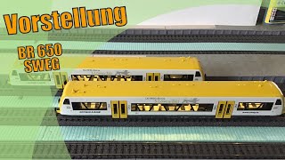 Bemo BR 650 SWEG🥔Ortenau SBahn 3LöwenTakt🥔ModellbahnVorstellung [upl. by Pierro916]