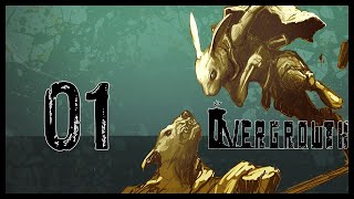 Overgrowth Gameplay Lets Play Part 1 I KNOW KUNG FU  SPECIAL FEATURE [upl. by Hoeg289]