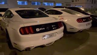 Ford Mustang White  Udrive [upl. by Mode148]