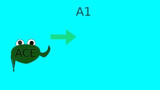 How does lisinopril or ACE inhibitors work [upl. by Humpage781]