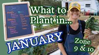 January Planting Guide for Zone 9  10 Gardeners amp Winter Growing Tips [upl. by Shotton]