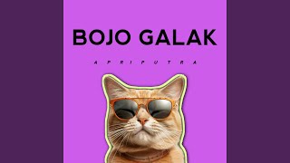 BOJO GALAK [upl. by Ettegdirb]