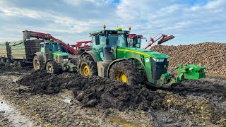 SÁRDAGASZTÁS 💪  John Deere 8245R  Rába  6930P  Stuck in MUD  Rübentransport [upl. by Ian]