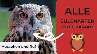 Alle Eulenarten Deutschlands und Mitteleuropas Aussehen und Ruf [upl. by Lea]