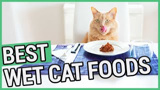 The 11 Best Cat Foods in 2023 [upl. by Clintock]