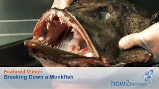 Breaking Down a Monkfish [upl. by Ardnassac]