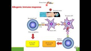 Immunosuppressive drugs [upl. by Yrod]