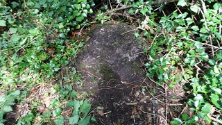 Exploring Meadow Pit Mound Madeley Telford 26620 [upl. by Korff]