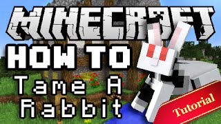 Minecraft How To Tame amp Breed Bunny Rabbits [upl. by Demetrius72]