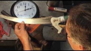 Pole Saw Blade Maintenance  Prune Like a Pro [upl. by Haslam380]