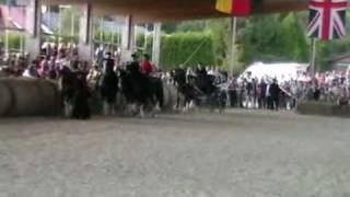 21 DSHV Shire Horse Show Gut Neuhof Alpenrod  Shiremania [upl. by Brocky]