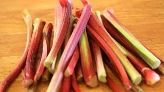 Rhubarb and all you need to know about it [upl. by Sackville]