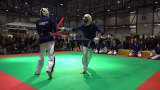 Démonstration Yoseikan Budo Automnales 2017 [upl. by Audry]