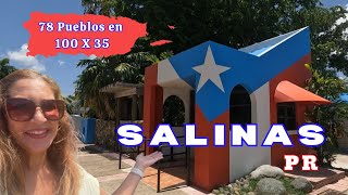 SALINAS Puerto Rico 🇵🇷I El Pueblo del Mojo Isleño [upl. by Anilad]