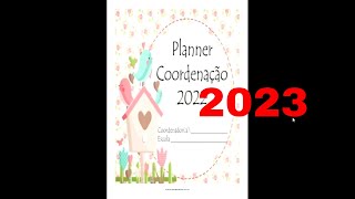 Caderno de planejamento anual para Coordenação pedagógica 2023 Planner Pássaros [upl. by Haropizt]