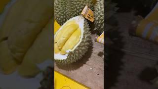 DURIAN BAWOR DAN DURIAN MUSANGKING durian durianbawor musangking masduren [upl. by Orlantha]