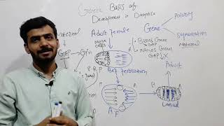 DEVELOPMENT IN DROSOPHILA Genetic Basis of development in Drosophila  Easy Concept [upl. by Yar]