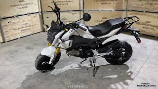 VENOM X20 125CC  STREET LEGAL MOTORCYCLE  GROM CLONE  WALK AROUND VIDEO  8559841612 [upl. by Spancake517]