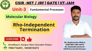 RhoIndependent Termination  RNA synthesis  Prokaryotic Transcription  Lecture18 [upl. by Oiramal]