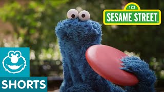 Sesame Street Catch allnew episodes of Sesame Street [upl. by Halona]