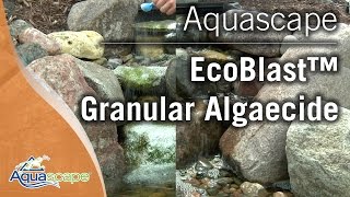 Eliminate Algae in Your Pond with Aquascape EcoBlast™ Granular Algaecide [upl. by Ayotak]