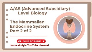 AAS Advanced Subsidiary Level  Biology  The Mammalian Endocrine System [upl. by Coveney423]