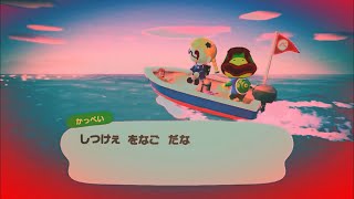 【あつまれどうぶつの森】Animal Crossing Anti Piracy Screen18 [upl. by Basham]