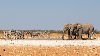 Namibië 2023 [upl. by Thibaud]