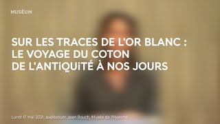 Sur les traces de l’or blanc [upl. by Hasan]